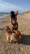 ziv_kabalo Altpins Profile Picture