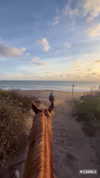 vanessa.rhd Altpins Profile Picture