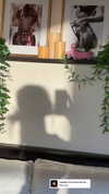 libby_reut Altpins Profile Picture