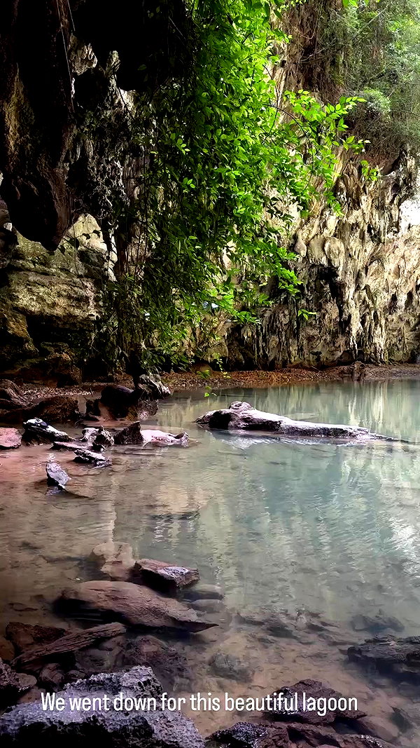 swfx_real archive video preview