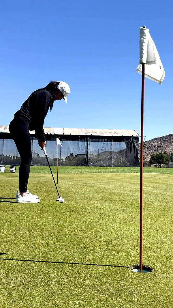 pingtour archive video preview