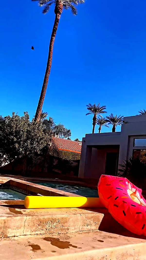 allie_dunn archive video preview