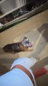 _lironatias Altpins Profile Picture