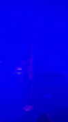 brookeesfallen Altpins Profile Picture