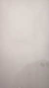 cyber_zoe_ Altpins Profile Picture