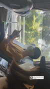 dwpolin Altpins Profile Picture