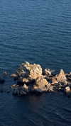 miikheeva_stasiiya Altpins Profile Picture