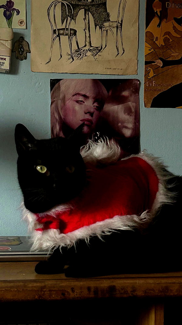 feelbetterinmysweater archive video preview