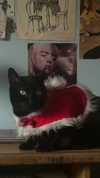 feelbetterinmysweater Altpins Profile Picture