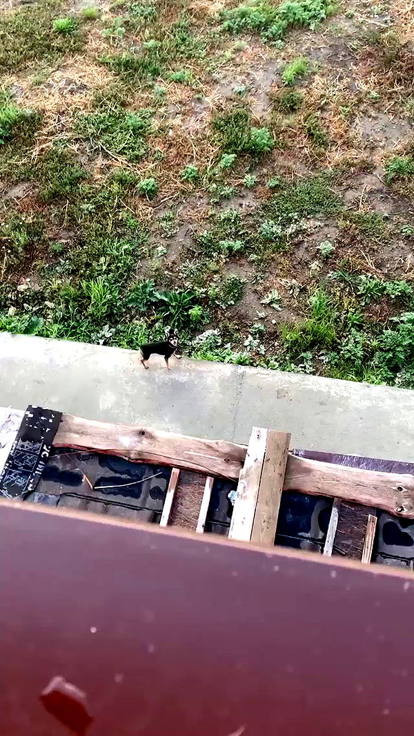 nyityam archive video preview