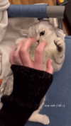 _kybelle Altpins Profile Picture