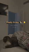 sonia_litvanchuk Altpins Profile Picture