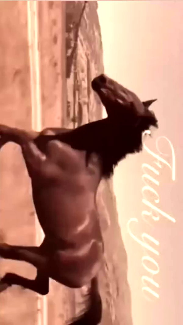 lerasww archive video preview