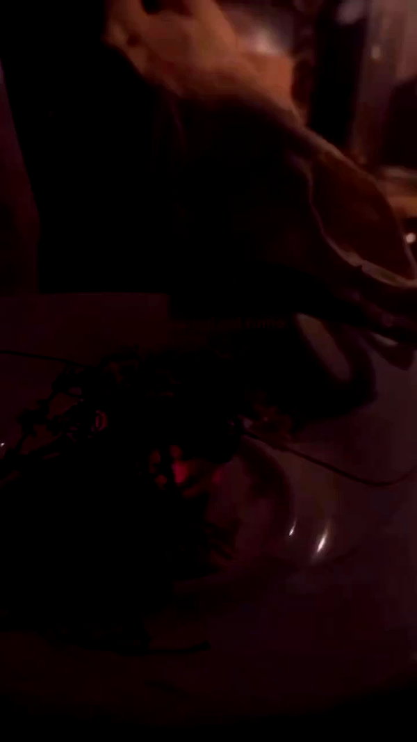 vampiryska archive video preview