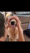 muze Altpins Profile Picture