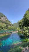 federica.piccinni Altpins Profile Picture