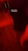 shayli_or Altpins Profile Picture