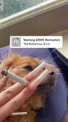 babynympho_archive Altpins Profile Picture