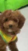 kteaworld Altpins Profile Picture