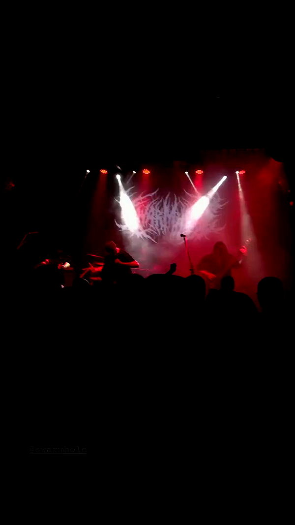 tiny.eviluv archive video preview