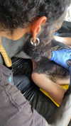 venecatattoo Altpins Profile Picture