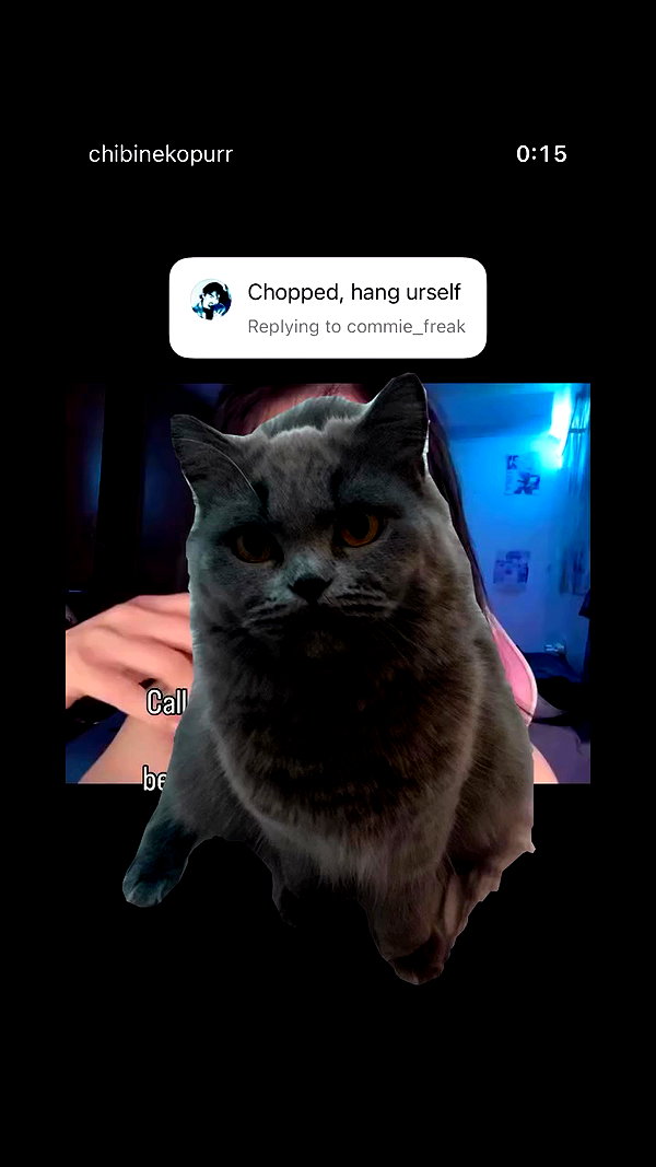chibinekopurr archive video preview