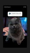 chibinekopurr Altpins Profile Picture