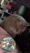 xsurio Altpins Profile Picture