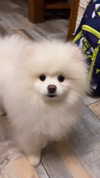 elsgatti Altpins Profile Picture