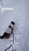 _ociaa_05 Altpins Profile Picture