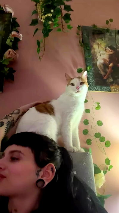 strawberryshanz strawberryshanz archive video