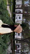 alishevs Altpins Profile Picture