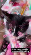 imskirby Altpins Profile Picture