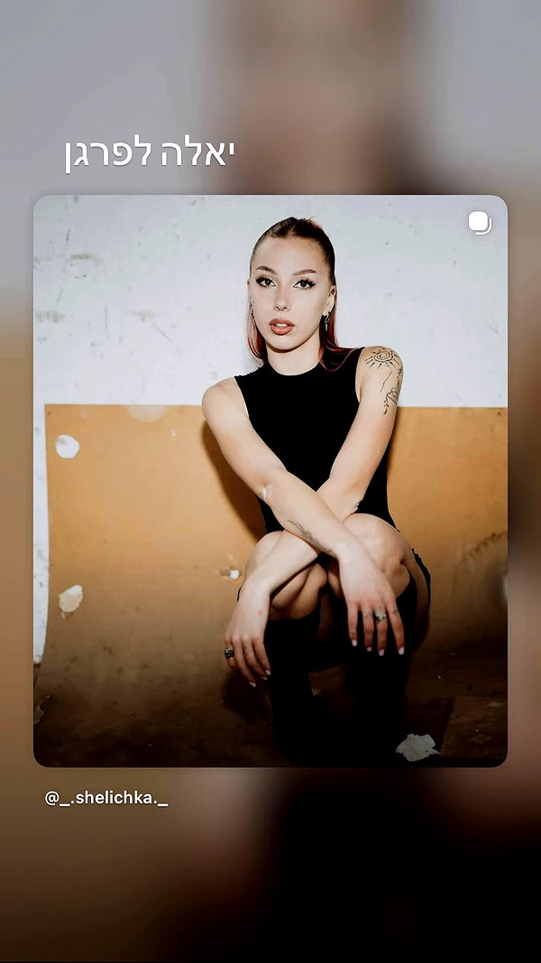 _.shelichka._ archive video preview