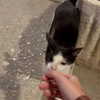 elizabrowne_ Altpins Profile Picture