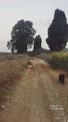 evasela__ Altpins Profile Picture