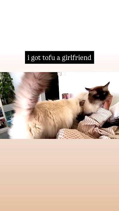 jasminxie2 jasminxie2 archive video