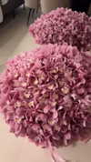 nomagdalina Altpins Profile Picture