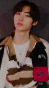dante_yangpa Altpins Profile Picture