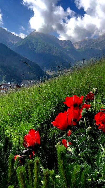 taylor.creeden taylor.creeden archive video