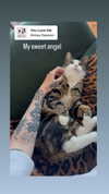 jahia_brown Altpins Profile Picture