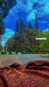 aleiisha.piixiie Altpins Profile Picture