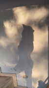aldreann Altpins Profile Picture