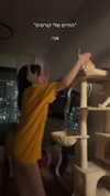 itsilanosh Altpins Profile Picture