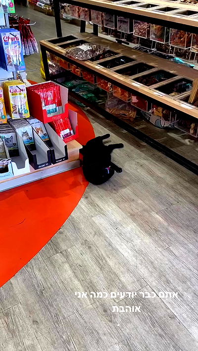 mishel116 mishel116 archive video