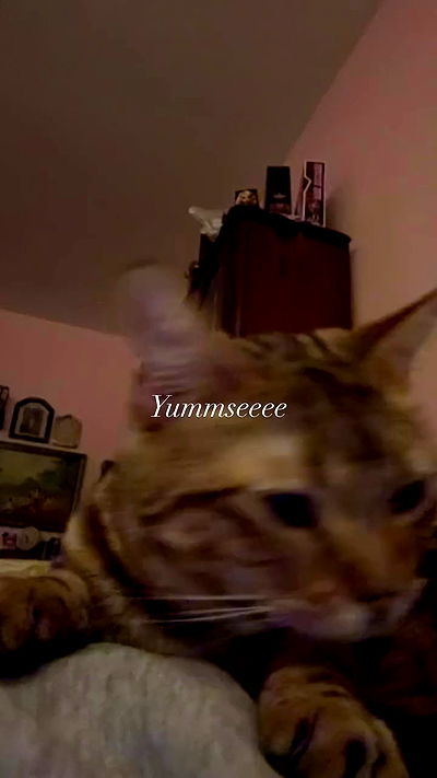 laurinchhhe laurinchhhe archive video