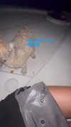 lolontlia Altpins Profile Picture