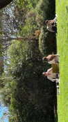 veroni22ka Altpins Profile Picture