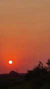 lissi77 Altpins Profile Picture