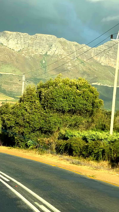 taylor.creeden taylor.creeden archive video